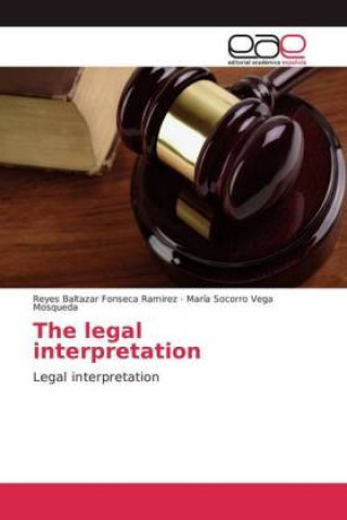 Kniha legal interpretation Reyes Baltazar Fonseca Ramirez