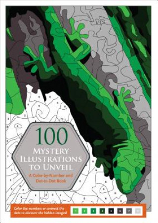 Könyv 100 Mystery Illustr to Unveil Jeremy Mariez