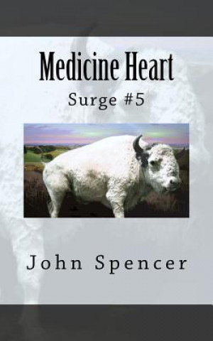 Könyv Medicine Heart: Surge #5 John Spencer