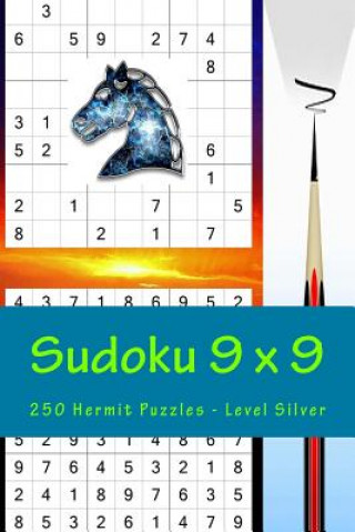 Buch Sudoku 9 X 9 - 250 Hermit Puzzles - Level Silver: Best Puzzles for You Andrii Pitenko