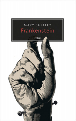 Knjiga Frankenstein oder Der moderne Prometheus Mary Shelley