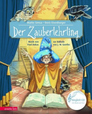 Buch Der Zauberlehrling Marko Simsa