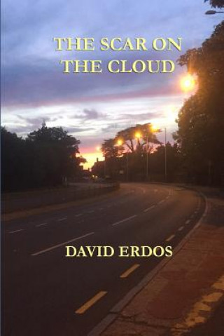 Kniha Scar on the Cloud Erdos