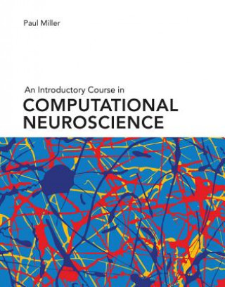 Książka Introductory Course in Computational Neuroscience Paul (Brandeis University) Miller
