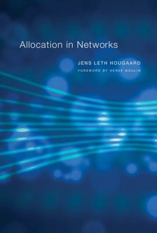 Könyv Allocation in Networks Hougaard