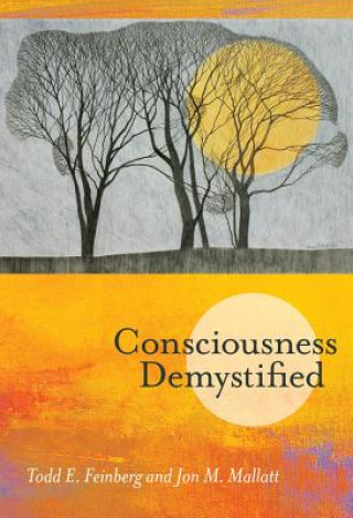 Kniha Consciousness Demystified Feinberg