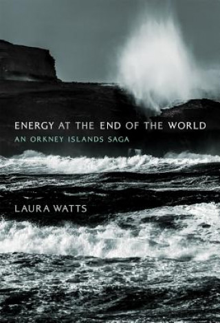 Kniha Energy at the End of the World Watts