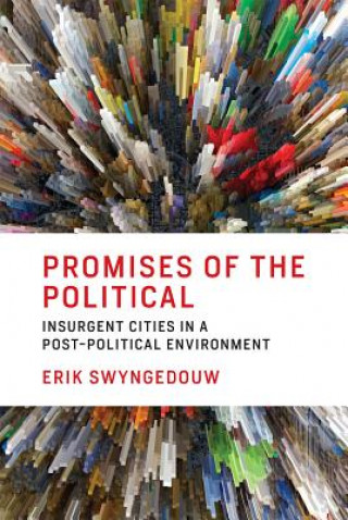 Könyv Promises of the Political Erik Swyngedouw