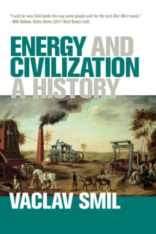 Könyv Energy and Civilization – A History Vaclav Smil