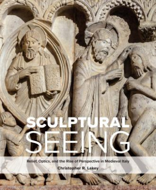 Livre Sculptural Seeing Christopher R. Lakey