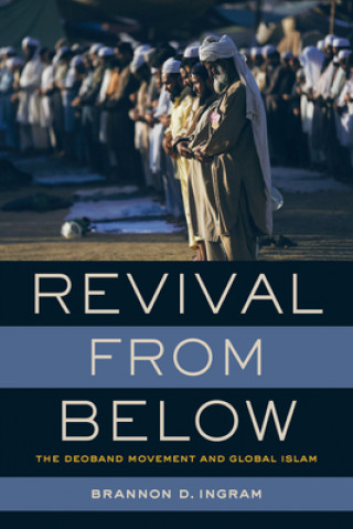 Kniha Revival from Below Brannon D. Ingram