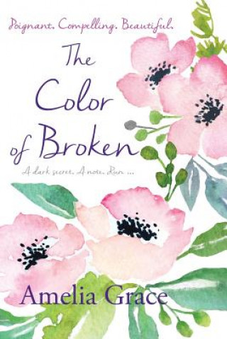 Könyv Color of Broken Amelia Grace