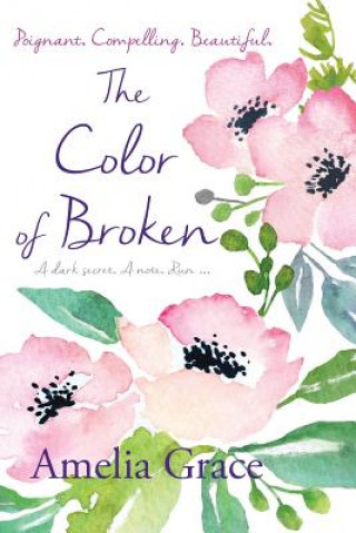 Książka Color of Broken Amelia Grace