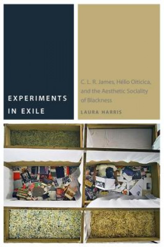 Book Experiments in Exile Laura Harris