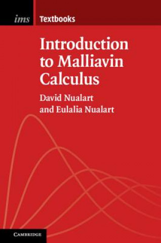 Kniha Introduction to Malliavin Calculus David (University of Kansas) Nualart