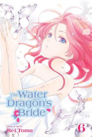 Carte Water Dragon's Bride, Vol. 6 Rei Toma