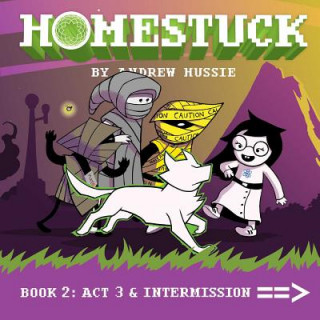 Kniha Homestuck, Book 2 Andrew Hussie