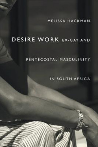 Kniha Desire Work Melissa Hackman