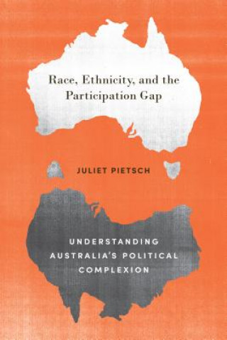 Kniha Race, Ethnicity, and the Participation Gap Juliet Pietsch