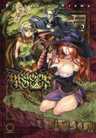 Книга Dragon's Crown Volume 2 Atlus
