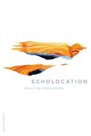 Kniha Echolocation Sally Bliumis-Dunn