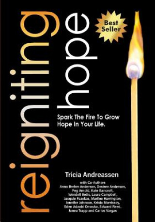Buch Reigniting Hope Tricia Andreassen