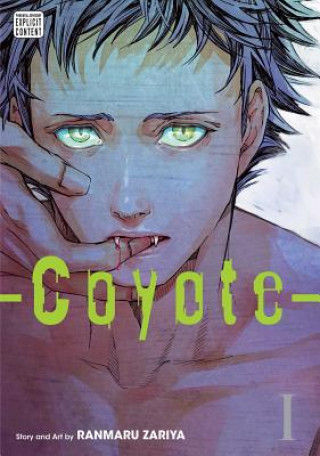 Knjiga Coyote, Vol. 1 Ranmaru Zariya