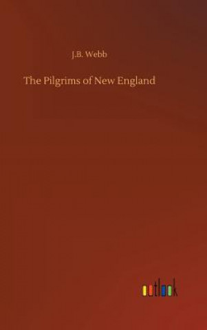 Kniha Pilgrims of New England J B Webb