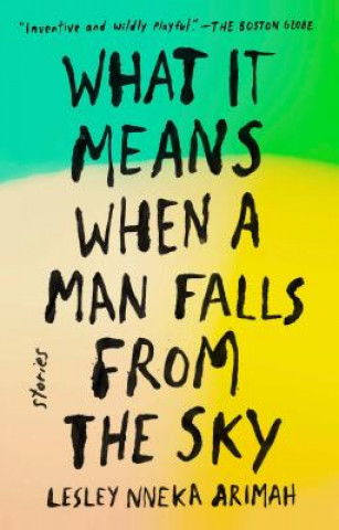 Knjiga What It Means When a Man Falls from the Sky Lesley Nneka Arimah