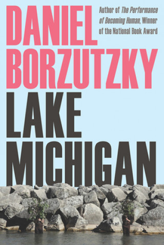 Könyv Lake Michigan Daniel Borzutzky