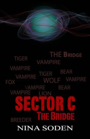 Βιβλίο SECTOR C The Bridge Nina Soden