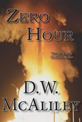 Knjiga Zero Hour D W McAliley