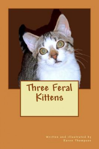 Boek Three Feral Kittens Karen Thompson