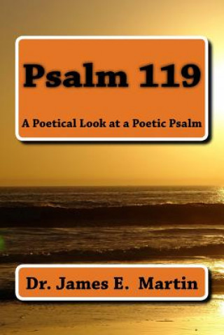 Kniha Psalm 119: A Poetical Look at a Poetic Psalm Dr James E Martin