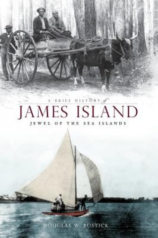 Книга A Brief History of James Island: Jewel of the Sea Islands Douglas W Bostick