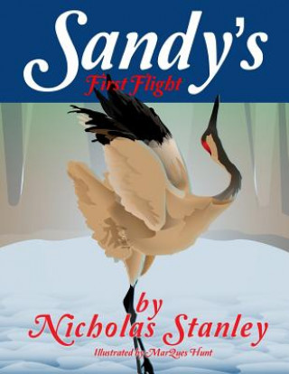 Kniha Sandy's First Flight Mr Nicholas Stanley