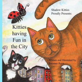 Könyv Kitties having fun in the city Sommer Rayn