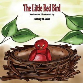 Kniha The Little Red Bird Shelley M Cook