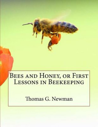 Książka Bees and Honey, or First Lessons in Beekeeping Thomas G Newman