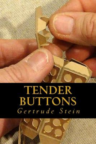 Knjiga Tender Buttons Gertrude Stein