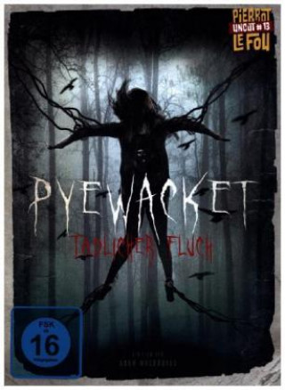 Video Pyewacket - Tödlicher Fluch, 1 Blu-Ray + 1 DVD (Limited Edition Mediabook) Victor Mathieu