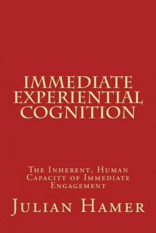 Kniha Immediate Experiential Cognition Julian Hamer