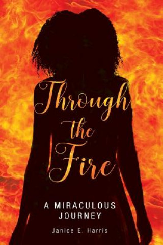 Kniha Through the Fire: A Miraculous Journey Janice E Harris