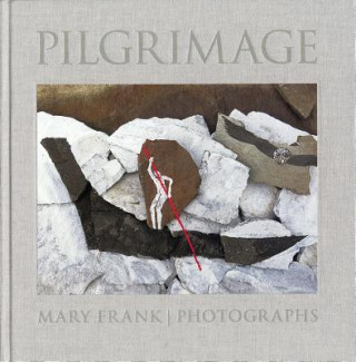 Könyv Pilgrimage Nick Liptak