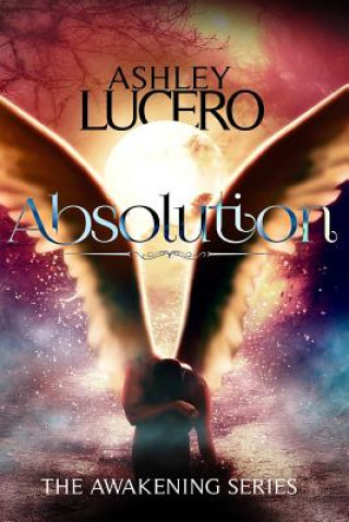 Livro Absolution Ashley Lucero