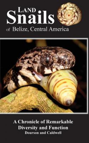 Könyv Land Snails of Belize, Central America Daniel C Dourson