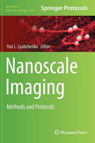 Libro Nanoscale Imaging Yuri L. Lyubchenko