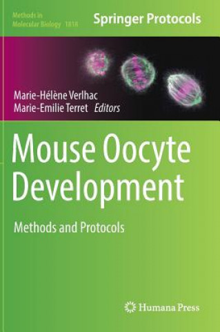 Knjiga Mouse Oocyte Development Marie-Hél?ne Verlhac
