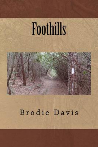 Книга Foothills Brodie Davis