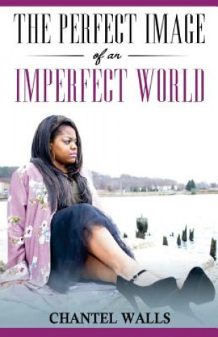 Kniha The Perfect Image of an Imperfect World Chantel P Walls